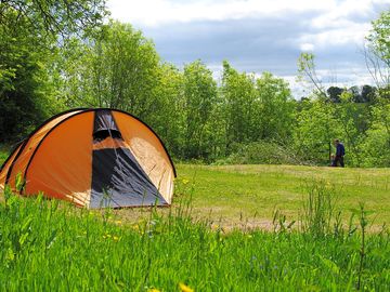Sheltered field with woodland walks