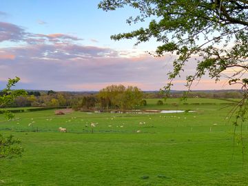 Campsite view overlooking the fishing pools