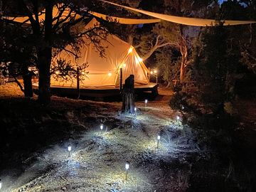 Lighted pathways