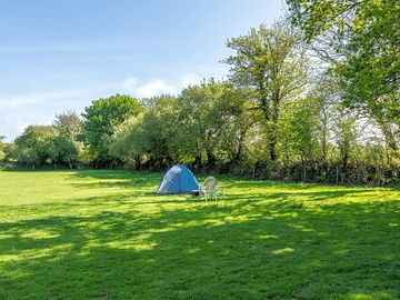 Pitches surrounded by nature