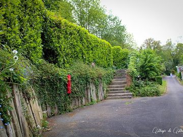 Greenery all around