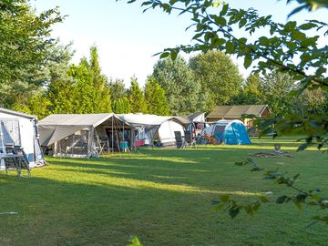 Grass pitches