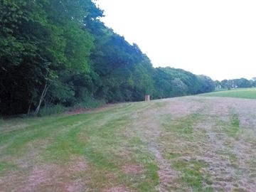 Pitches with dedicated campfire area in the woods