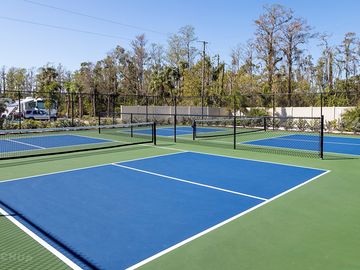 Blueway Pickleball Court