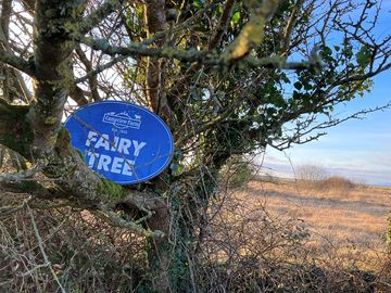 The fairy tree