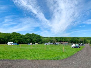 Visitor image of the site