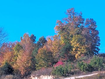 There are lots of areas to hike