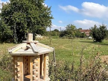 Greenery around the site