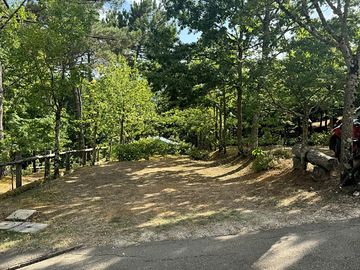 Pitch among the trees