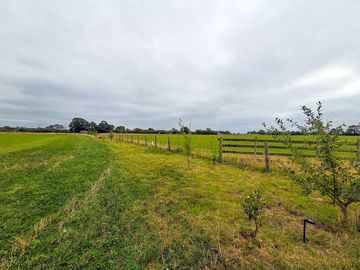 Grass pitches
