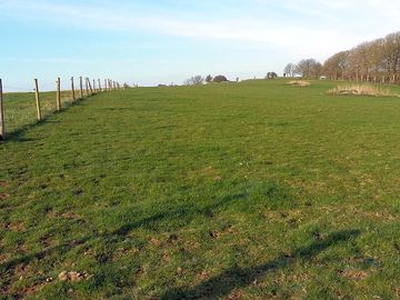 Plenty of space to pitch where you like