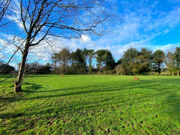 A sunny day on site