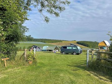 Molly’s paddock
