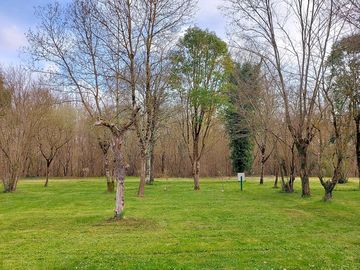 Tree-shaded pitches