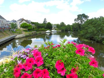 Ville du lion d'angers