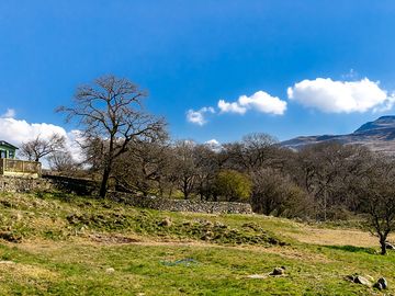 Scenery from the site