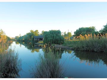 River view