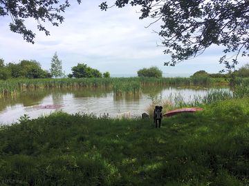 Pond on site