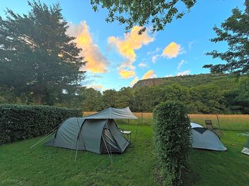 Grass pitches
