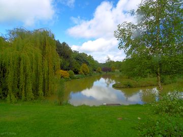 Looking across our bottom lake