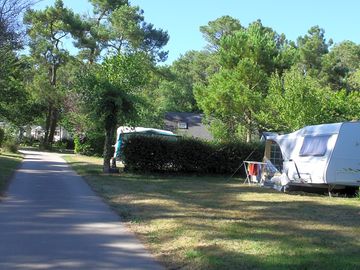 Spacious sunny or shaded pitches