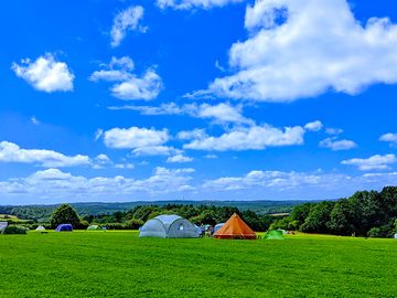 Grass pitches