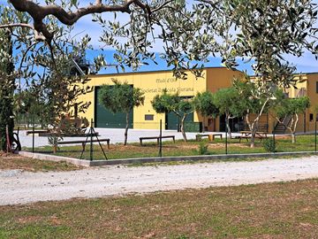Organic olive oil mill