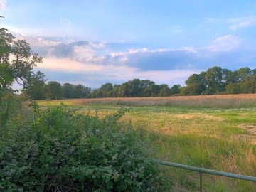 Rushbeds Wood Campsite