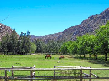 Scenic site