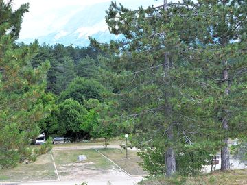 Pitches in the woodland