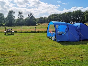 Family-Sized / Small Campervan Pitches