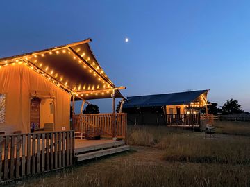 Safari tents