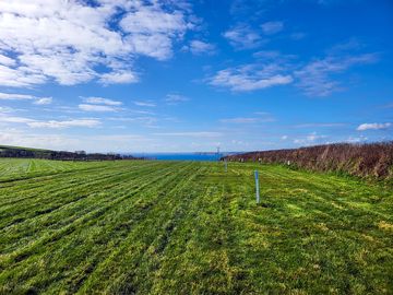 Grass pitch