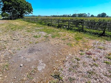 Spacious hard standing pitches, sheltered and a great sunny spot