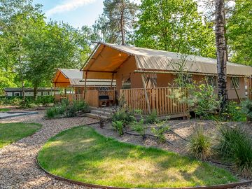 Safari tents
