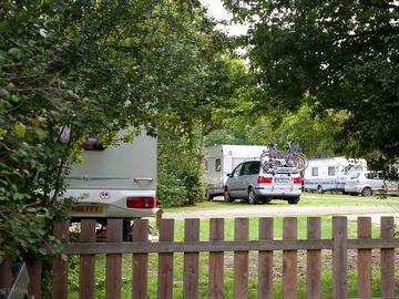 Spacious pitches in a woodland setting