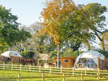 Geodesic Dome