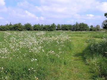 Standard pitch in the upper meadow