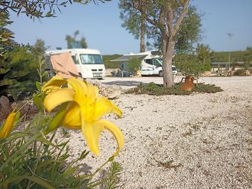 Gravel pitches for caravans and campervans