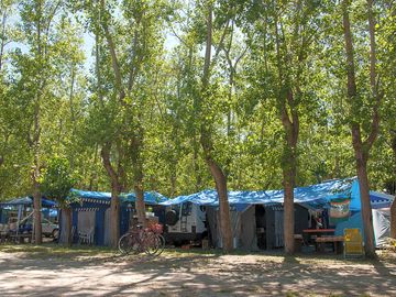 Spacious pitches among the trees