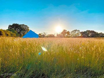 Late afternoon sunshine over the bell tents
