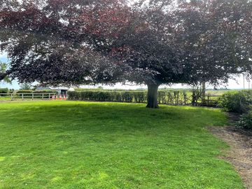 Right of the paddock