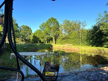 Pound view in garden