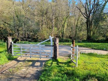Through the gate and out into the woods