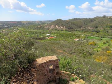 Rural view