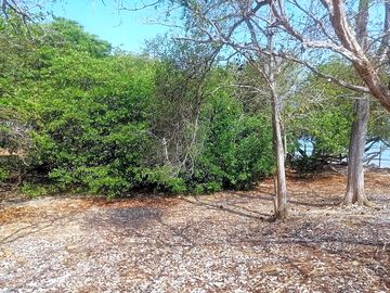 Shaded pitches