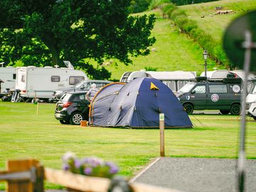 Grass tent pitches