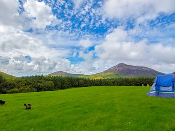 Camping field