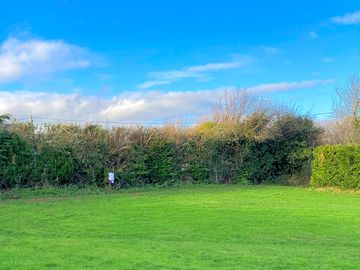 Fresh grass pitches