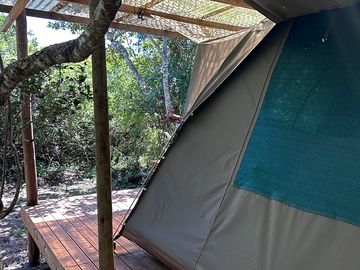 Rental tent exterior
